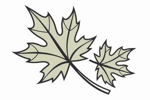 Two Green Maple Leaves Illustration, Autumn Design Element vector
