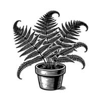 Fern on pot engraving black and white outline. Scratch board imitation. vector