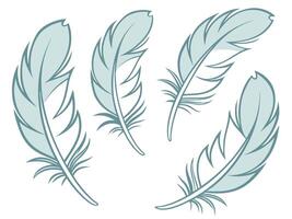 illustration of four elegant light blue feathers on a pristine white background for various creative designs. vector