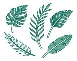 illustration showcasing a collection of hand drawn tropical leaves in a charming simplistic design. vector