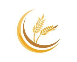 Elegant wheat grain emblem featuring golden colors on a clean white background suitable for brand identity vector