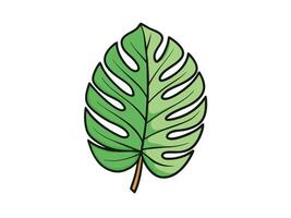 Hand drawn illustration of a vibrant green monstera leaf with defined black outlines on white background vector