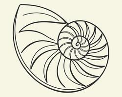 Elegant black and white illustration of a nautilus shell in a minimalist graphic style vector