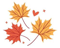 Beautiful hand drawn illustration of autumn maple leaves with a heart and star elements on white background vector