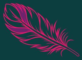 Decorative illustration of a stylized feather in bright pink and purple with a dark teal background vector