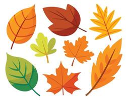 Colorful illustration of various stylized autumn leaves on a white background for design vector