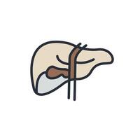 liver icons color isolated vector
