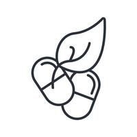 herbal pils line icons style collection vector