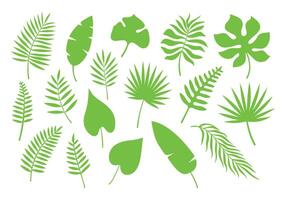 Green Tropical Leaf Silhouette Set Botanical Design Elements vector