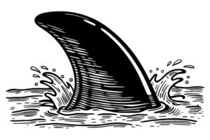 Shark fin emerging from water ocean predator, danger concept black and white line art illustration vector