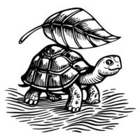 Curious tortoise walking with large leaf on shell hand drawn animal illustration, nature concept, black and white vector