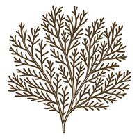 Brown botanical branch silhouette with delicate thin leaves hand drawn natural foliage, simple nature illustration vector