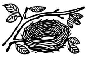 bird nest illustration with tree branch and leaves hand drawn sketched empty nest, spring nature shelter vector