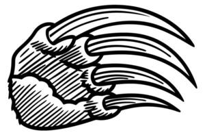 Wild animal claw illustration fierce beast paw with sharp talons, aggressive sketch outline, predator attack symbol vector