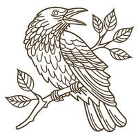 Detailed line art illustration of a raven perched on a leafy branch elegant black bird outline drawing, nature inspired design vector