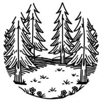 Pine forest illustration with tall evergreen trees and open clearing, hand drawn black and white nature scene vector
