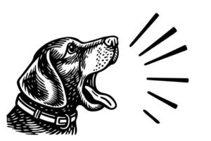 Vintage illustration of barking dog, alert hound with open mouth, black and white drawing, communication vector