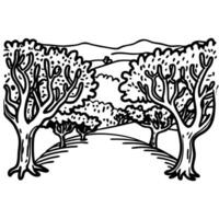 Olive tree grove landscape illustration rural countryside path lined with trees, rolling hills in the background vector