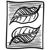 hand drawn leaf illustration with detailed lines two natural leaves on textured background, botanical sketch motif vector