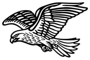 Soaring hawk illustration in black lines flying bird of prey, open wings, hunting raptor drawing art vector