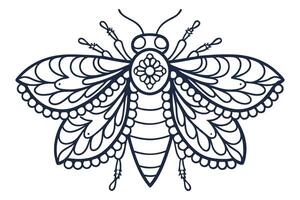 Intricate decorative insect illustration ornamental symmetrical bee or moth line art, tattoo or coloring page design vector