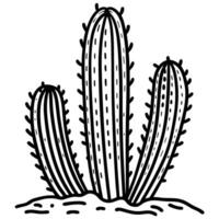Desert cactus plant sketch hand drawn illustration of three ribbed cacti with spines isolated on white background vector