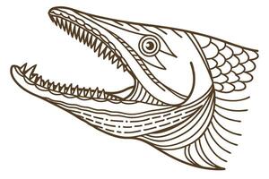 Predatory fish head illustration with open mouth and sharp teeth aggressive aquatic animal line art design vector