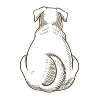Sitting dog rear view hand drawn sketch of loyal pet animal with curled tail, isolated on white background vector