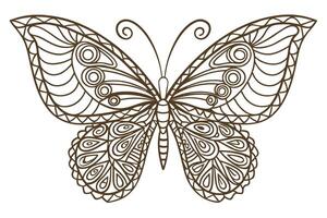 Intricate butterfly line art decorative symmetrical insect illustration with detailed wings, abstract geometric design vector