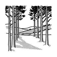Dense pine forest with tall trees and scenic path black and white nature illustration, tranquil woodland landscape vector