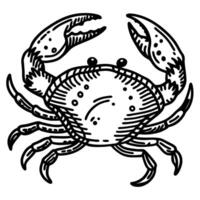 Hand drawn crab illustration with detailed claws and shell marine animal, ocean wildlife, seafood design element vector