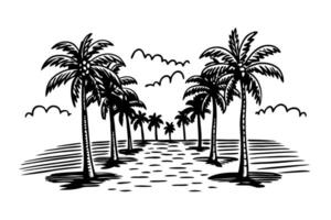 row of tropical palm trees lining a sandy pathway under cloudy sky hand drawn retro beach landscape illustration vector