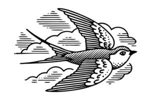 Swift bird in flight, vintage engraving illustration elegant swallow soaring with clouds, nature and freedom symbol vector