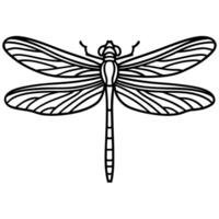 Dragonfly outline illustration detailed insect wings and body, symmetrical monochrome line drawing, nature concept vector