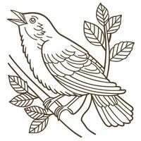 Singing bird perched on branch with leaves line art nature illustration, hand drawn wildlife drawing vector