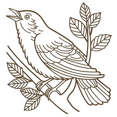 Singing bird perched on branch with leaves line art nature illustration, hand drawn wildlife drawing