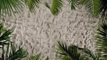 Looping Tropical Beach Sand Background with Palm Leaves Frame Animation video