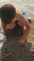 Vertical . Little boy playing on sandy beach in summer video