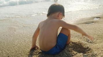 Summer resort. Small child playing with sand on seashore video