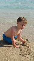 Vertical . Summer family vacation. Small boy playing with sand on sea beach in summer video