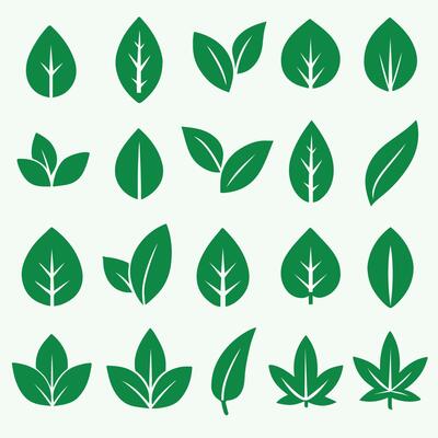 Green Leaf Icons Set Various Shapes and Styles Simple Nature Symbols Collection leaves