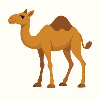Light Orange Tan Dromedary Camel Cartoon Side Profile Standing Illustration