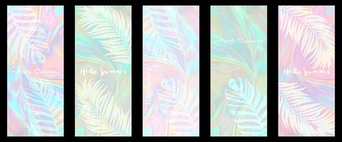 set Summer Gradient Background with Palm Leaf Shadow vector