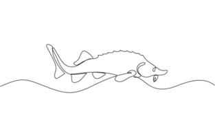 Sturgeon fish in continuous line art drawing style. Minimalist black linear sketch, Sturgeon fish in continuous line art drawing style. Minimalist black linear sketch on white background. vector