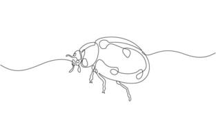 Orange ladybug in continuous one line art drawing, Continuous one line art drawing, Floral and fauna illustration editable stroke. vector