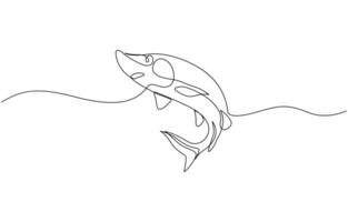 Sturgeon fish in continuous line art drawing style. Minimalist black linear sketch, Sturgeon fish in continuous line art drawing style. Minimalist black linear sketch design vector
