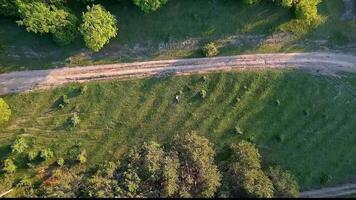 Aerial view of a lush green landscape with a winding dirt path, showcasing nature, tranquility, and rural serenity video