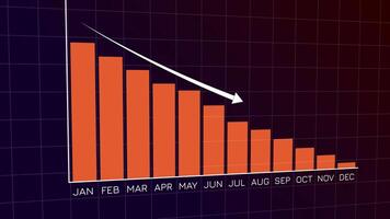 Animated Monthly Data Chart Showing Steady Decline from January to December Suitable for Business Report or Financial Crisis Visuals video