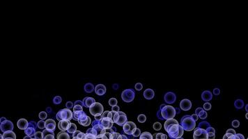 Burst upwards of blue bubbles on black background. abstract bubbles with copy space. slow motion. video