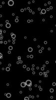 Abstract flying white bubbles on black background. fast motion animation. video